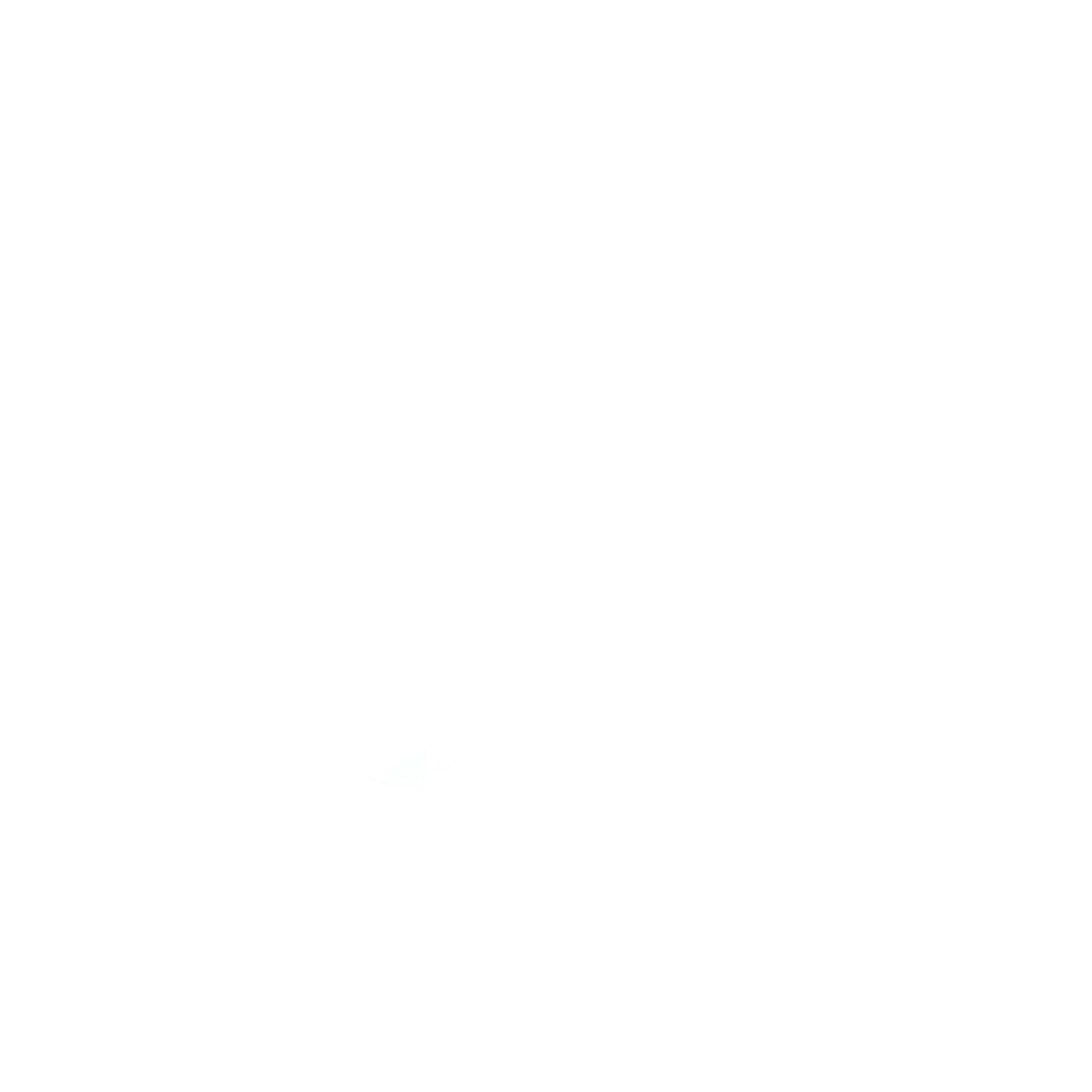 Asset Content
