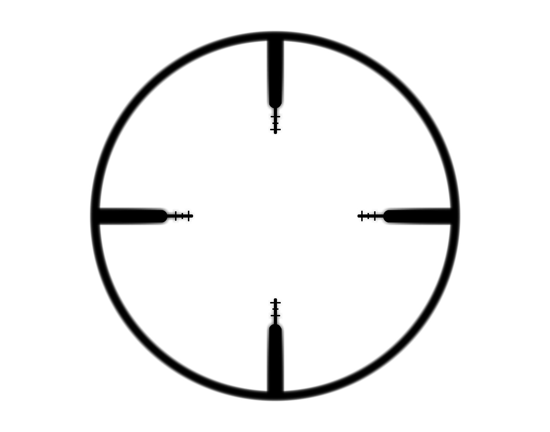 Asset Content